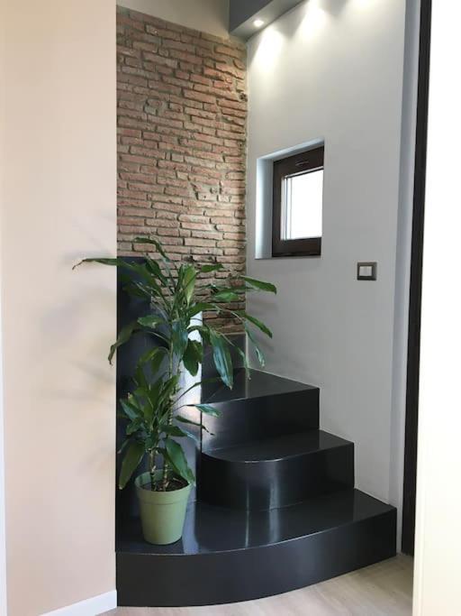 Domus 25 Villa คาตาเนีย ภายนอก รูปภาพ
